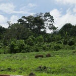 Guinea Ecuatorial