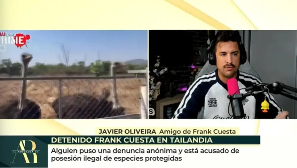 Javier Oliveira en 'El programa de Ana Rosa'