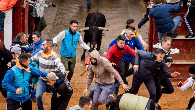 Caídas de varios mozos durante el encierro en la entrada a la plaza de Ciudad Rodrigo