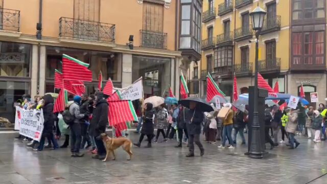 Medio millar de personas claman bajo la nieve contra las plantas de biogás de Zamora