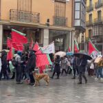 Medio millar de personas claman bajo la nieve contra las plantas de biogás de Zamora