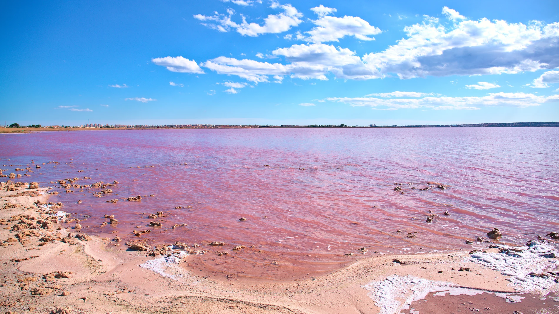 Las Lagunas de Mata y Torrevieja (Alicante)