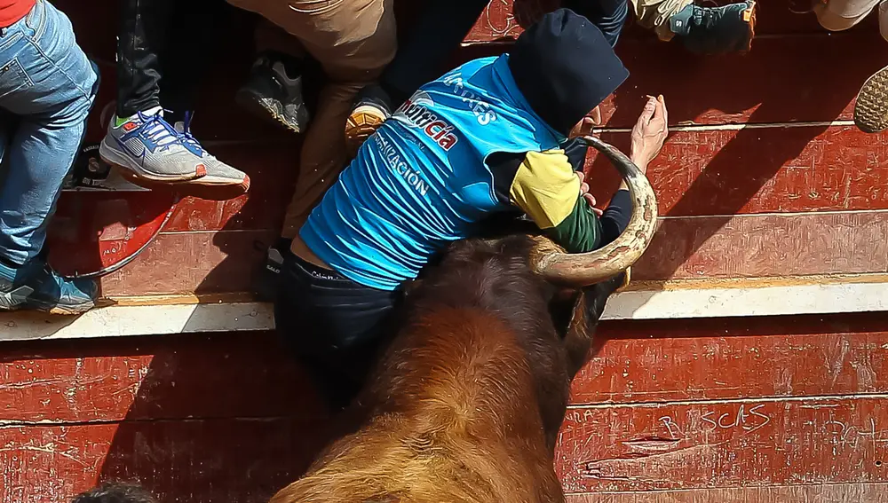 Momento de una de las cogidas en cl soso de Ciudad Rodrigo