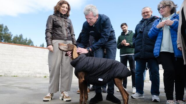 Galicia triplica su inversión en bienestar animal y refuerza la lucha contra el abandono