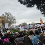 MADRID.-Unos 4.000 veterinarios piden en Madrid la derogación de la norma que les impide dispensar medicamentos a animales