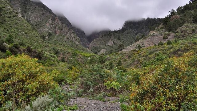 Este es el recorrido más misterioso de Canarias: seres luminosos, criaturas aladas y esferas brillantes en el cielo