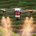 El nuevo método chino que está revolucionando la producción agrícola: no va a tardar en llegar a España