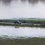 Campos de la pedanía anegados por el agua