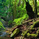 Este parque nacional te invita a una ruta de senderismo con paisajes de otro planeta