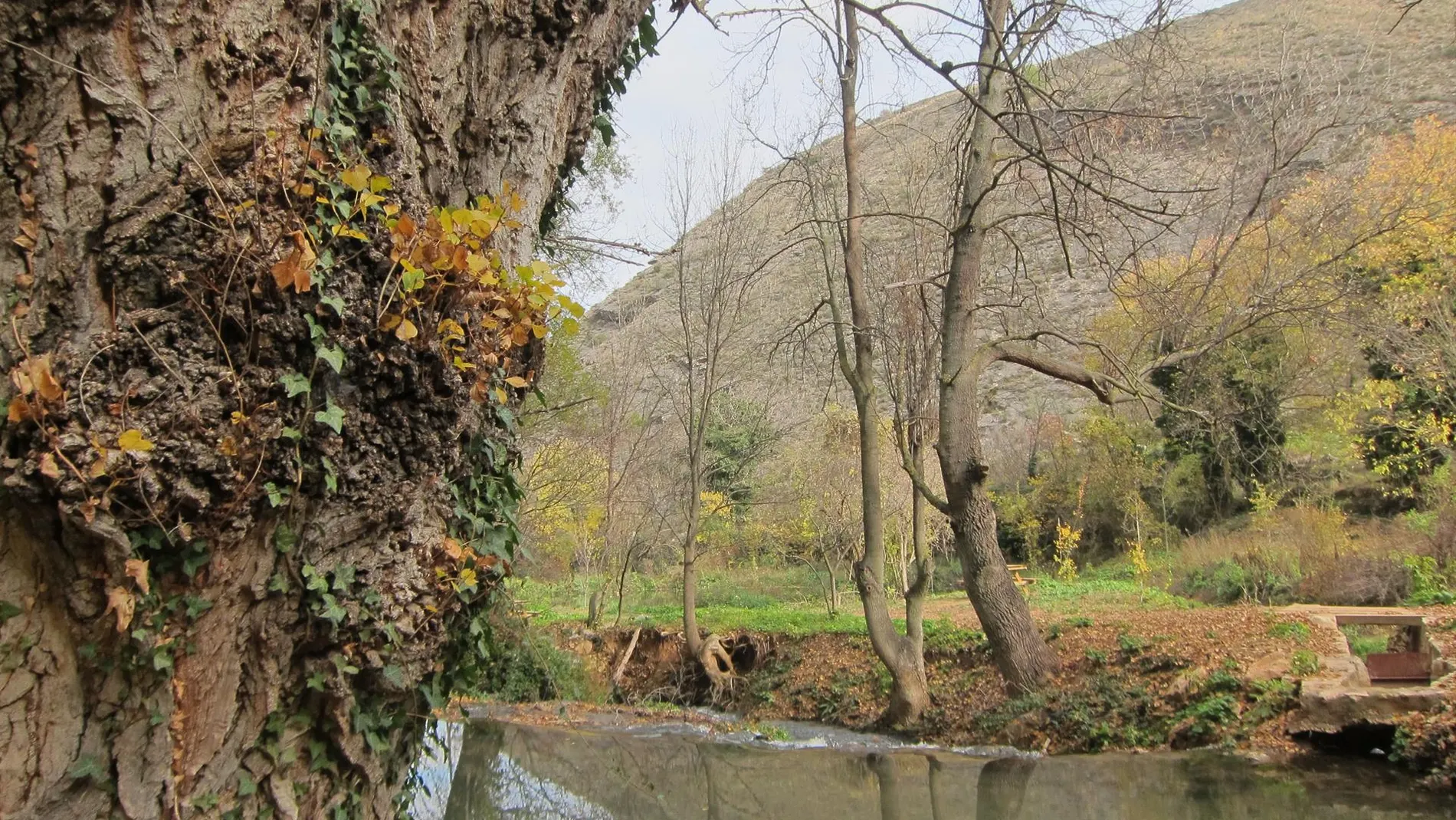 La Confederación del Ebro alerta de crecidas en afluentes en Guadalajara, Navarra, Aragón y Cataluña