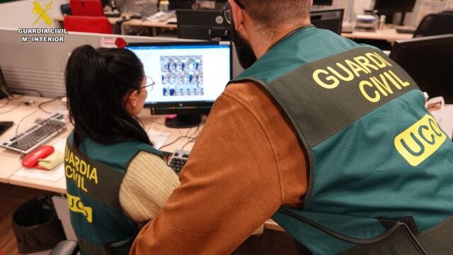 La Guardia Civil ha participado en la 13ª edición de la Task Force de Identificación de Víctimas de agresión sexual de menores (VIDTF), en el que han participado 33 especialistas de 23 países. 