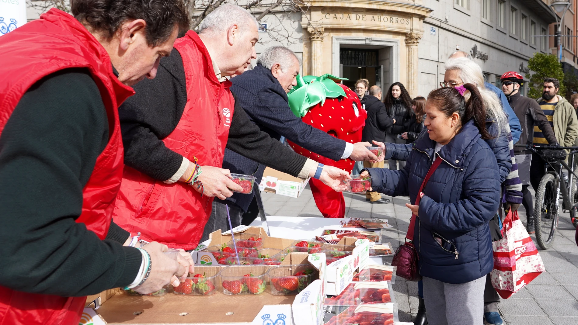 Reparto de fresas en la Plaza Zorrilla de Valladolid