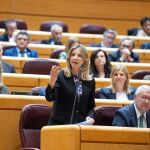 La portavoz del PP en el Senado, la abulense Alicia García, durante su intervención