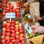Cajas de tomates en un mercado de de Madrid 