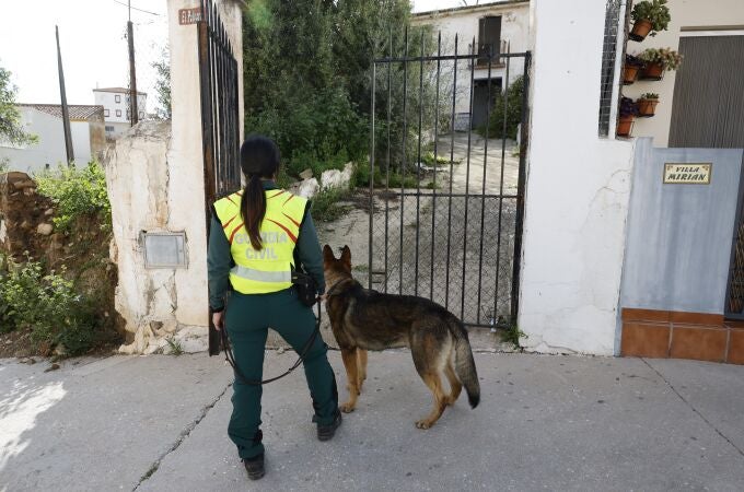 Tareas de búsqueda del anciano desaparecido en Almogía (Málaga)