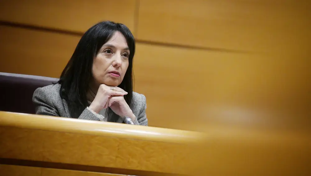 Mercedes González comparece en la Comisión de Interior del Senado