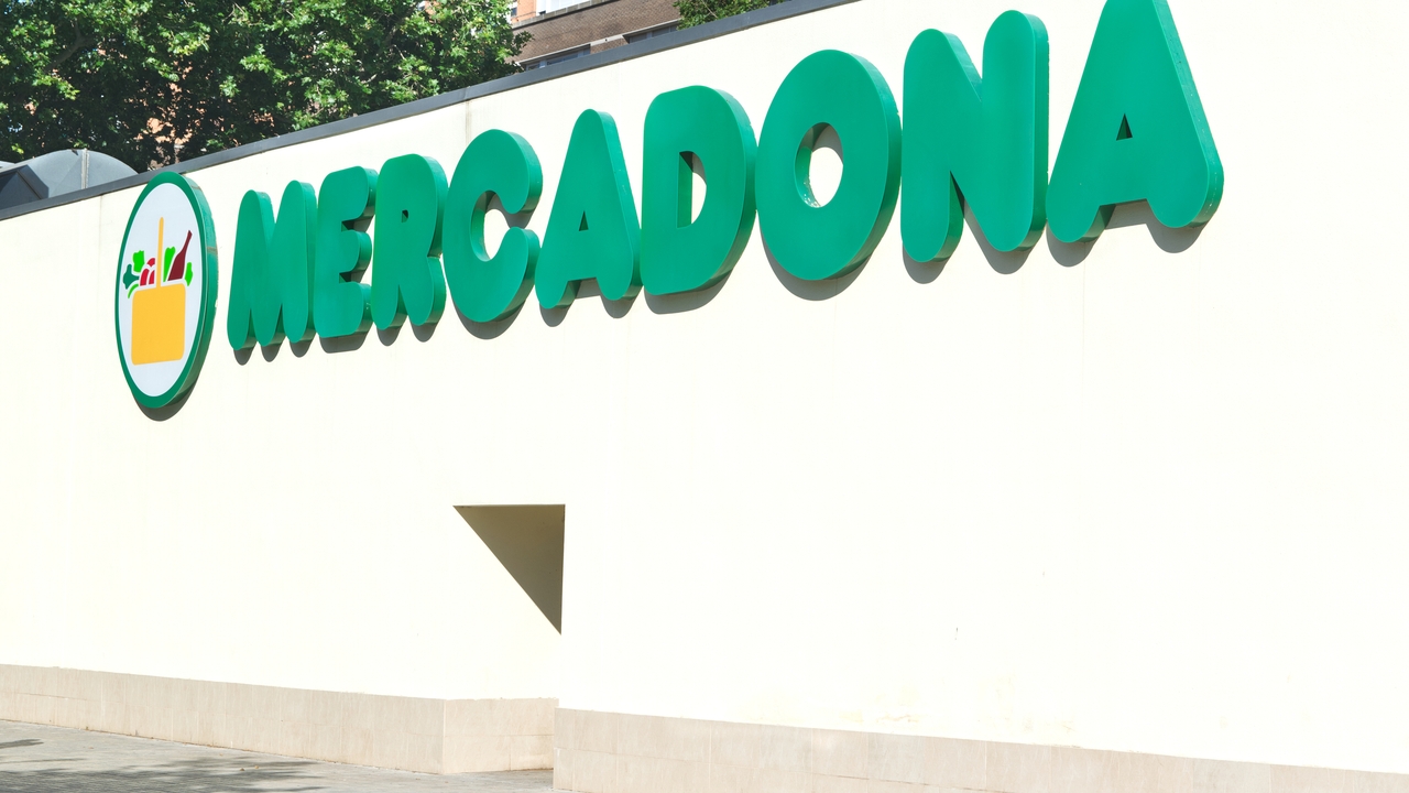 Descubre la bebida saludable de Mercadona: un sustituto del café y té verde con beneficios para tu salud