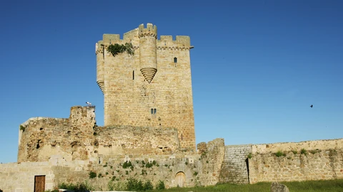 Castillo de San Felices de los Gallegos