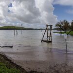 Pantano de Torre del Águila, en El Palmar de Troya (Sevilla)