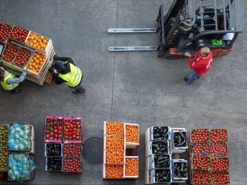 Los bancos de alimentos catalanes celebran la nueva ley contra el desperdicio alimentario