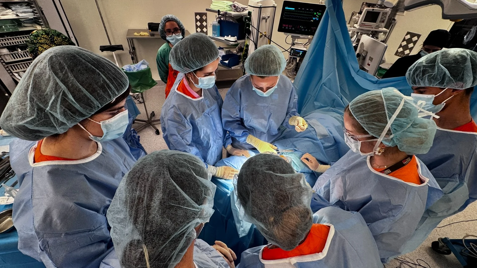 Alumnos de 4º de la ESO dan el «sí quiero» a la Medicina