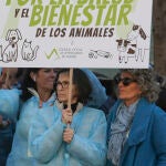 Los veterinarios protestan contra la ley que "restringe" la prescripción de medicamentos