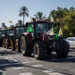 La edad media de los agricultores de la comunidad líder en España asusta