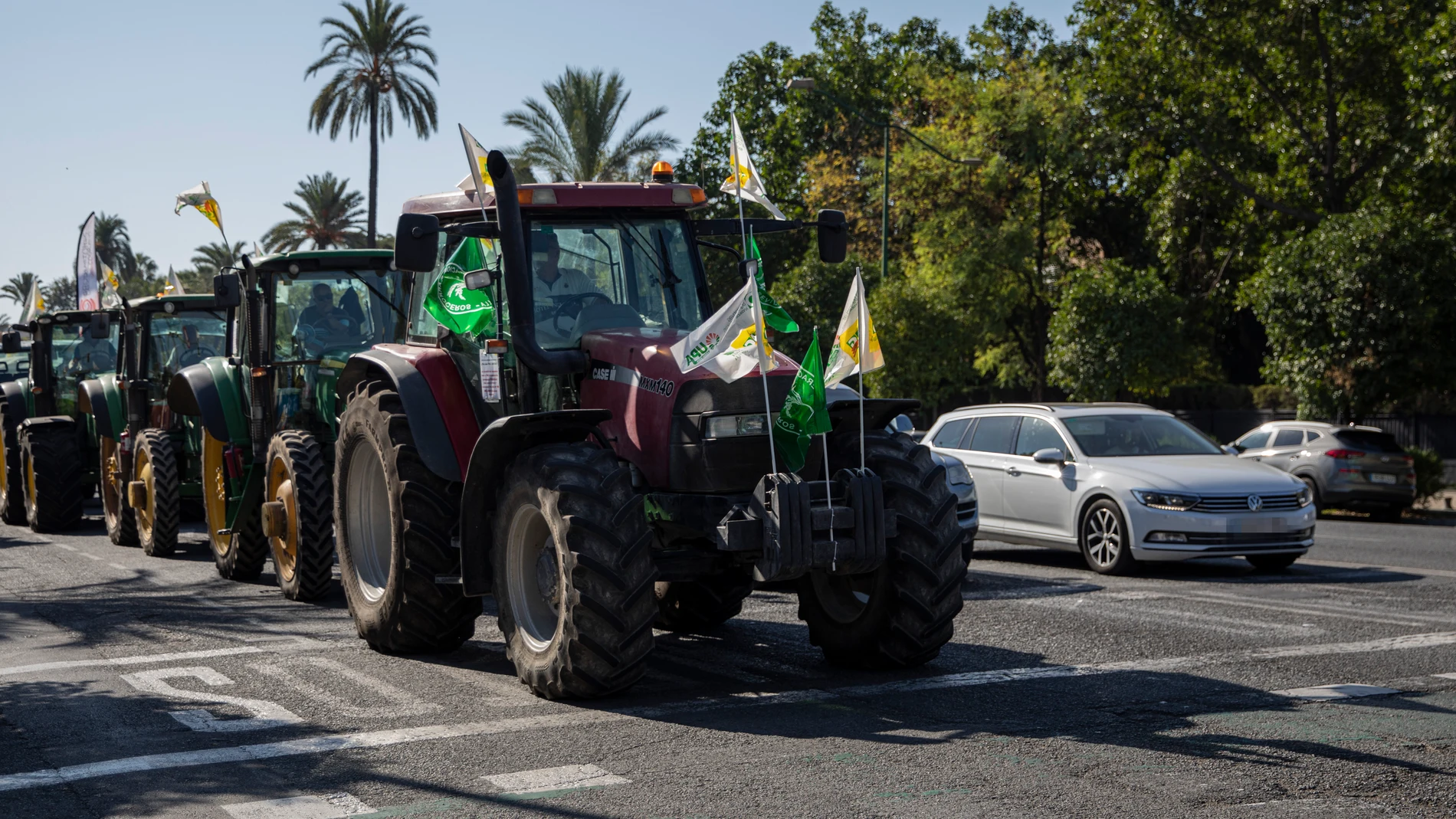 La edad media de los agricultores de la comunidad líder en España asusta