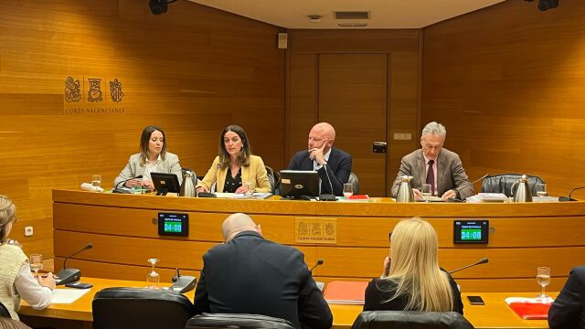 La consellera de Justicia, Nuria Martínez, en la defensa de los Presupuestos 2025 en Les Corts