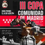 Cartel de la III Copa Comunidad de Madrid