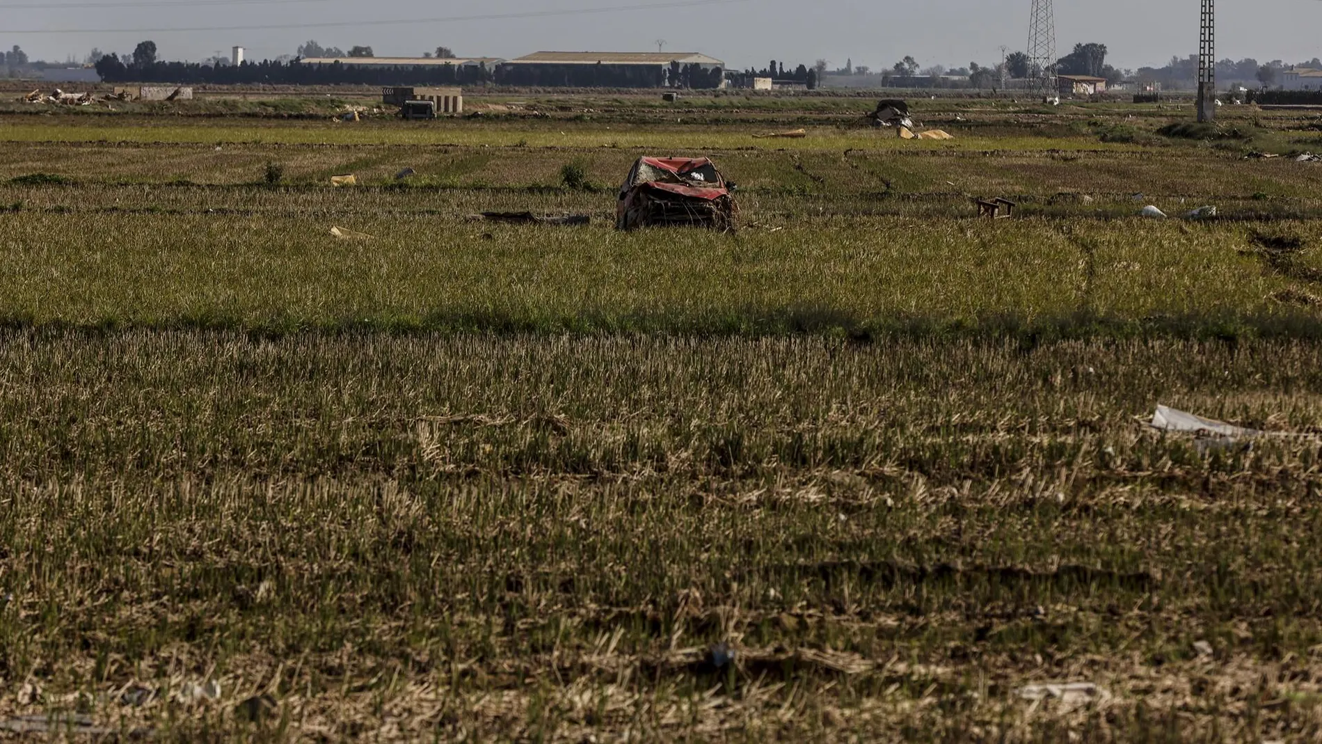 Economía.- El Gobierno abona 3,9 millones más en ayudas directas a 252 agricultores y ganaderos afectados por la DANA