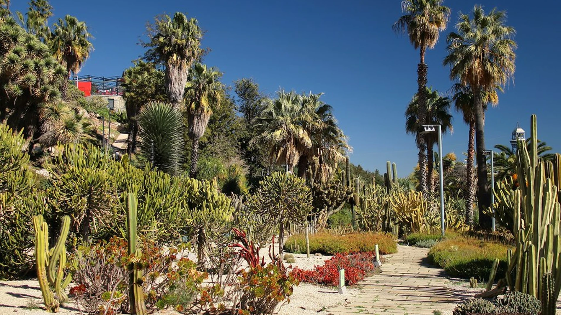 Jardines de Mossèn Costa i Llobera
