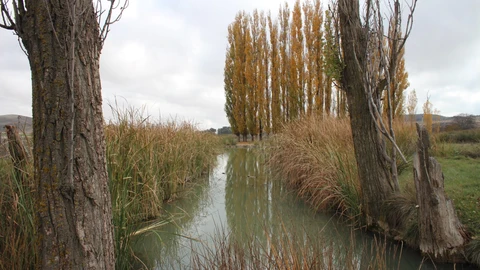 Agua.- La CHS elimina las restricciones al regadío tradicional en la UTE IV