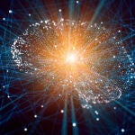 El cerebro y la conciencia humana
