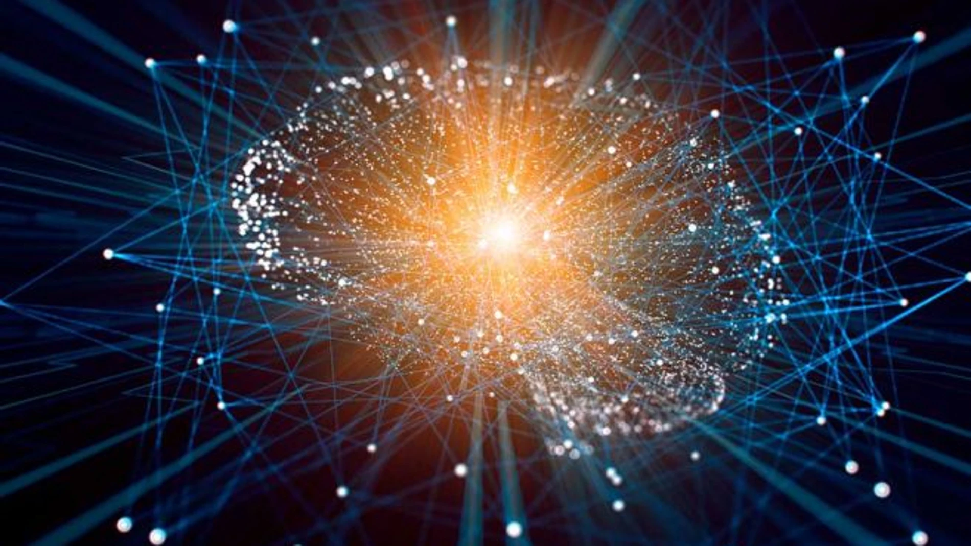 El cerebro y la conciencia humana