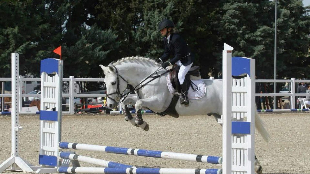 Todas las claves para elegir el primer caballo