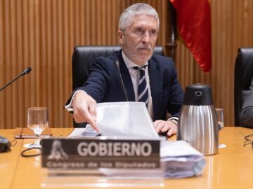 El ministro de Interior, Fernando Grande-Marlaska