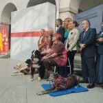 La labor de los perros de apoyo en juzgados para menores: crece un 25% en 2024 y llegará también a mujeres víctimas de violencia machista