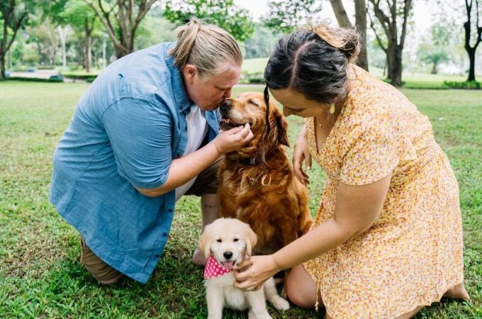 Si tu perro hace esto, es posible que te haya detectado una enfermedad
