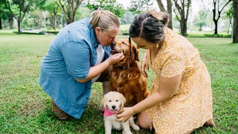 Si tu perro hace esto, es posible que te haya detectado una enfermedad
