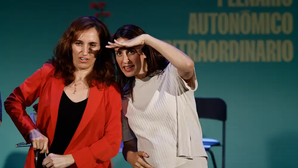 Plenario Autonómico Extraordinario de Más Madrid