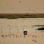 El libro incluye el testimonio de Fernando 'Bigote', que cuenta su infancia en lo que ahora es el Parque Nacional de Doñana