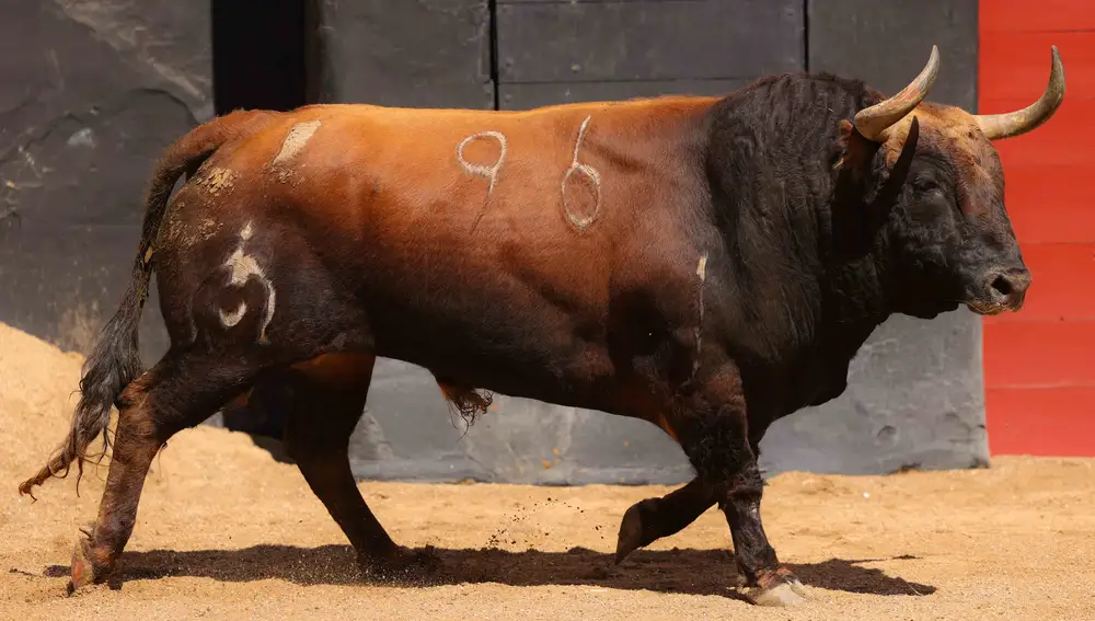 "Soplón", nº 96