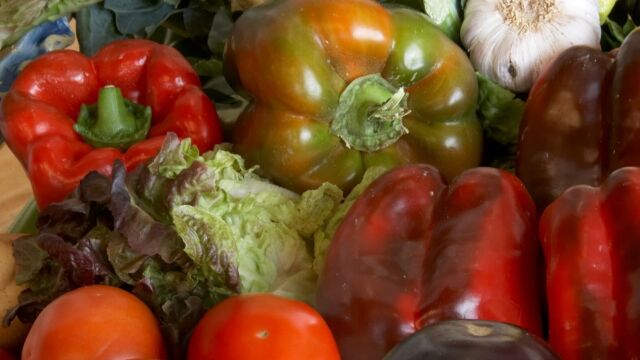 Andalucía busca mercado en Asia tras crecer las exportaciones un 4,5 % en 2024