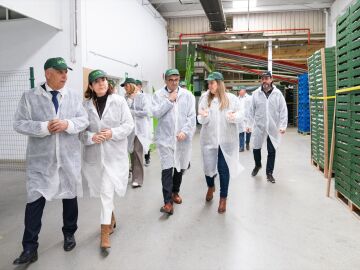 La diferencia entre la tasa de paro de Andalucía y la de España se acorta: es la más baja en 17 años