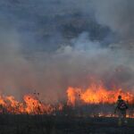 Israel.- AMP.- Israel despliega al Ejército para ayudar a los bomberos a hacer frente a los incendios en Jerusalén