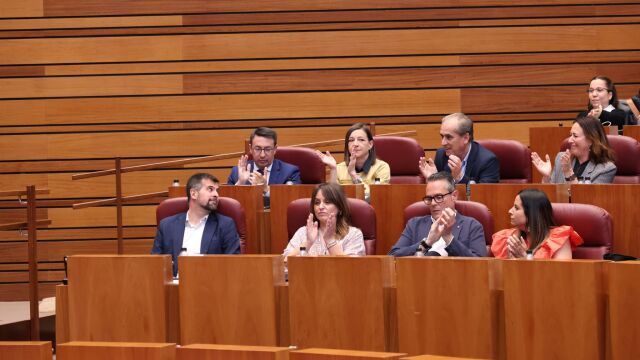 Tudanca recibe el aplauso de los suyos tras ser elegido senador autonómico por Castilla y León