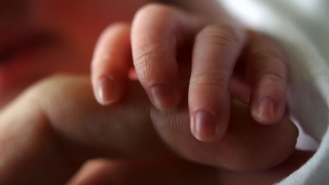 El programa de cribado neonatal de Galicia tiene capacidad para detectar 37 metabolopatías congénitas primarias.