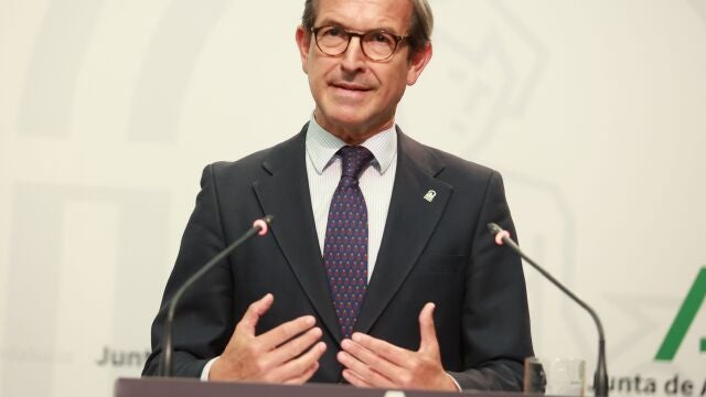 El consejero de Industria, Energía y Minas, Jorge Paradela