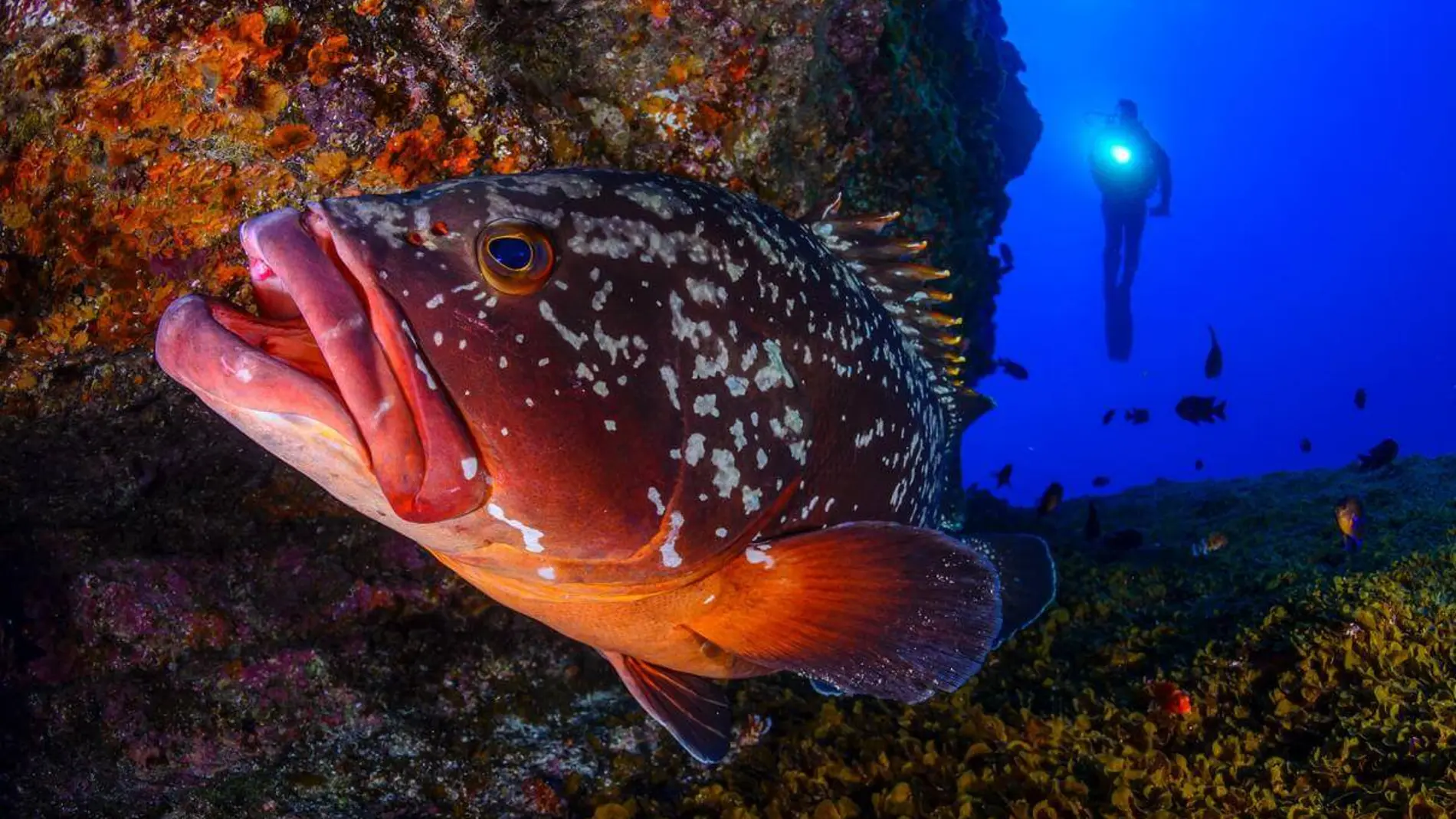 El Bajón, en El Hierro